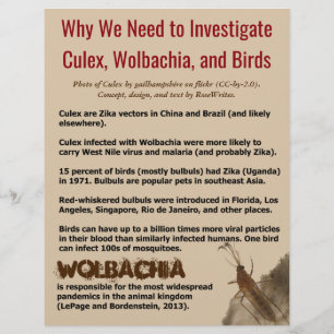 Culex、Wolbachia、Birds by RoseWrites チラシ