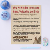 Culex、Wolbachia、Birds by RoseWrites チラシ (シングル)