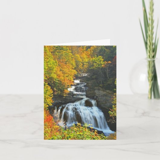 Cullasaja カード (正面)