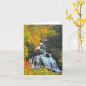 Cullasaja カード (黄色い花)