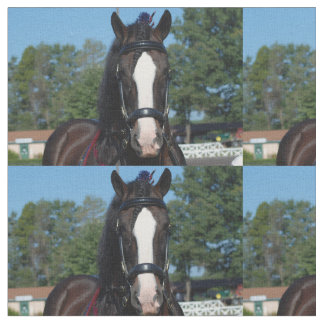 culpeper VAのばん馬ショー ファブリック