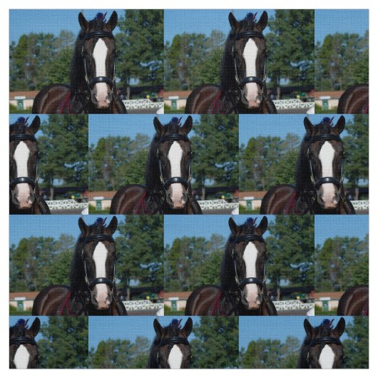 culpeper VAのばん馬ショー ファブリック (見本)