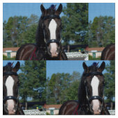 culpeper VAのばん馬ショー ファブリック (クローズアップ)