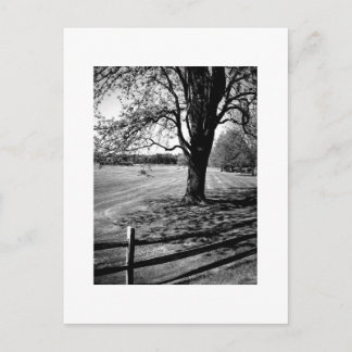 Culver Academies、白黒 ポストカード