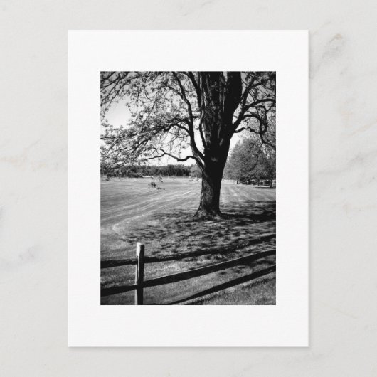 Culver Academies、白黒 ポストカード (正面)