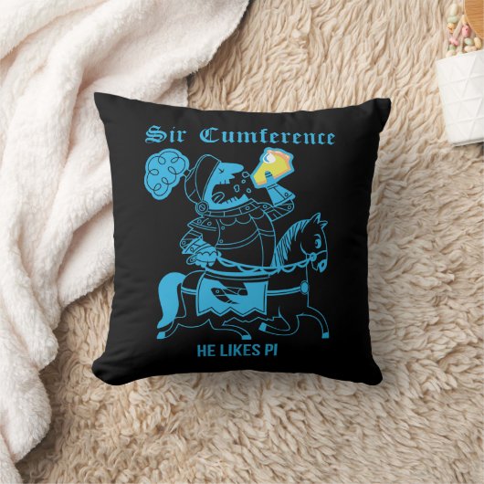 Cumference… クッション (ブランケット)