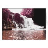 cummins滝 (正面横)