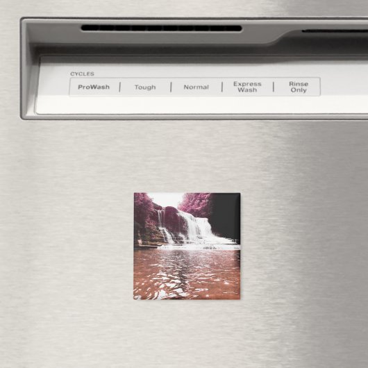 cummins滝 マグネット (インサイチュ (食洗機))