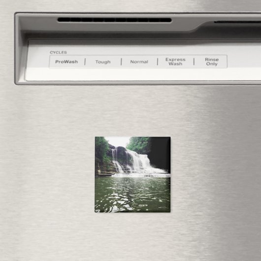 cummins滝 マグネット (インサイチュ (食洗機))