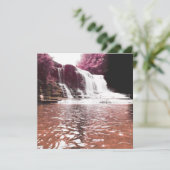 cummins滝 招待状 (スタンド正面)