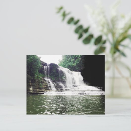 cummins falls ポストカード (スタンド正面)