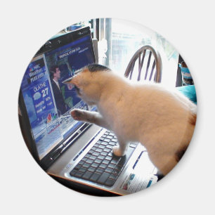 Cumputer猫の磁石 マグネット