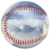 Cumulusクラウドグループ ソフトボール (正面左)