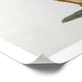 Cunne Shote, Cherokees, 1780 (colore) ポスター (角)