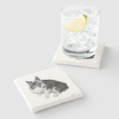 Cup Perch, Foxy Friend ストーンコースター (横)