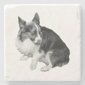 Cup Perch, Foxy Friend ストーンコースター (正面)