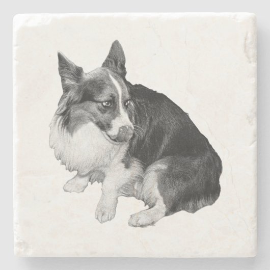 Cup Perch, Foxy Friend ストーンコースター (正面)