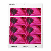 CUPID LACE HEART,FUCHSIA SILK CLOTH pink black ラベル (フルシート)