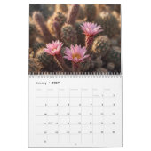 Curacao dream vacation カレンダー (1月 2027)