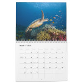 Curacao dreaming  カレンダー (3月 2026)