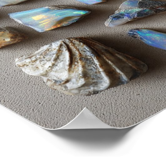 Curated Collection of Small Opalized Fossils ポスター (角)