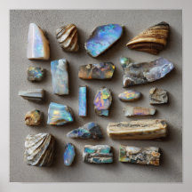 Curated Collection of Small Opalized Fossils