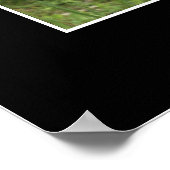 「CURIOSITY」あらいぐまフォトポスター ポスター (角)