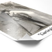 "Curiosity" フォトプリント (角)