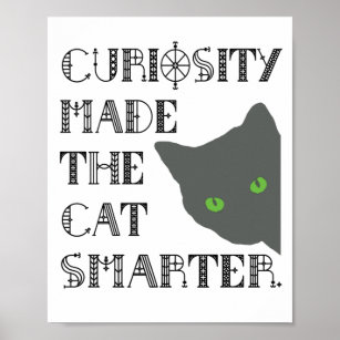 Curiosity and the Cat ポスター