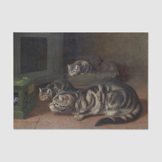 Curiosity by Horatio Henry Couldery 薄葉紙 (正面)