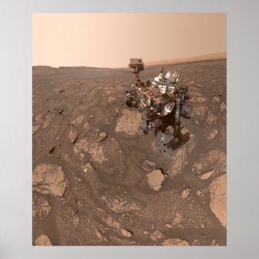 Curiosity's Selfie at the Mary Anning location on ポスター (正面)