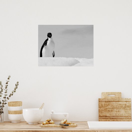 Curious Adelie Penguin Standing on Antarctic Snow ポスター (キッチン)
