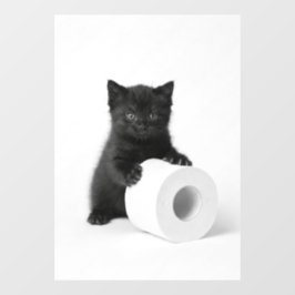 Curious Black Kitten Guarding Toilet Paper Roll On ウィンドウサイン
