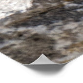 Curious Brown Chipmunk in Alberta ポスター (角)