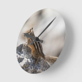 Curious Brown Chipmunk in Alberta ラウンド壁時計 (傾斜)