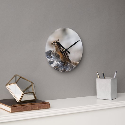 Curious Brown Chipmunk in Alberta ラウンド壁時計 (オフィス)