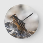 Curious Brown Chipmunk in Alberta ラウンド壁時計 (正面)