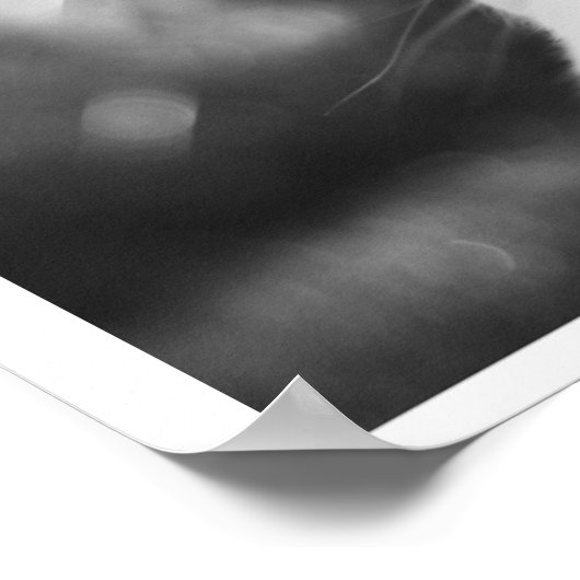 curious bunny ポスター (角)