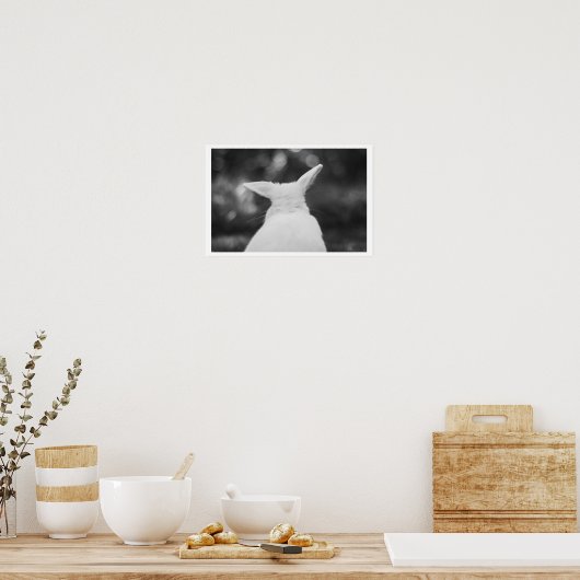 curious bunny ポスター (キッチン)