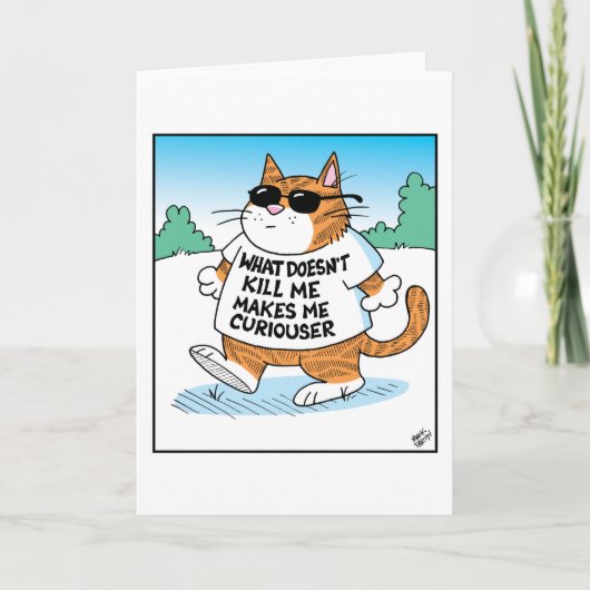 Curious Cat  カード (正面)