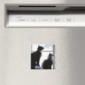 Curious Cats Looking out Window猫ちゃん写真 マグネット (インサイチュ (食洗機))