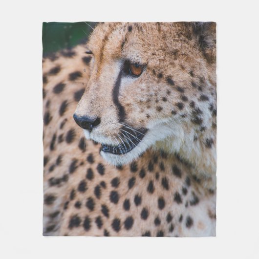 CURIOUS CHEETAH フリースブランケット (正面)