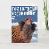 Curious Chicken Head Close-Up Photograph カード (正面)