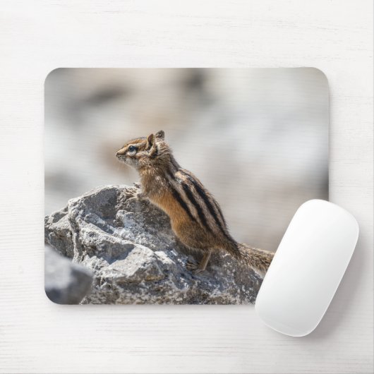 Curious Chipmunk – カナダの野生生物写真 マウスパッド (マウス)