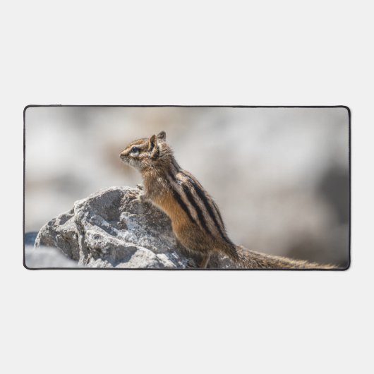 Curious Chipmunk in Nature デスクマット (正面)