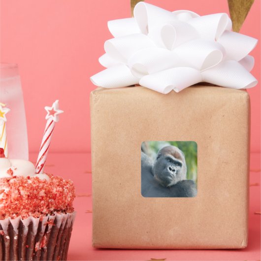 Curious Gorilla Standing Tall スクエアシール (パーティー)