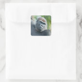 Curious Gorilla Standing Tall スクエアシール (バッグ)