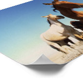 Curious Horse ポスター (角)