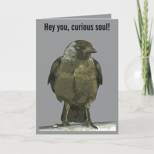Curious Perch Black Hooded Crow カード (正面)