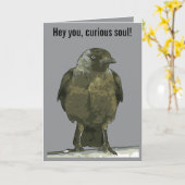 Curious Perch Black Hooded Crow カード (黄色い花)